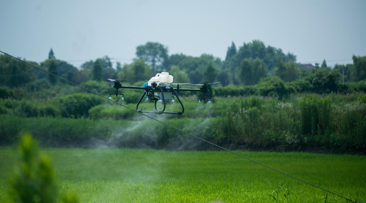 BEONDT ilaçlama drone'u, Liaoning Eyaleti, Yingkou'da 190.000 dönümlük pirinçteki zararlıları ve hastalıkları kontrol etmek için konuşlandırıldı