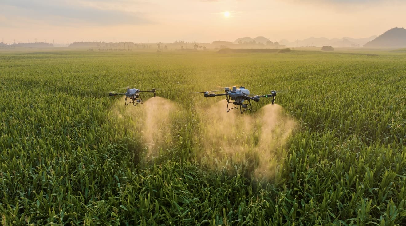 Çiftliğiniz için Doğru Tarımsal Drone'u Nasıl Seçersiniz?
